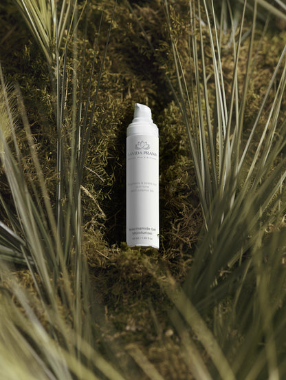 Niacinamide Gel Moisturiser - LaVida Prana